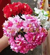 Yi quốc tịch mũ cucurbit khiêu vũ hiệu suất đầu hoa tóc lược ảnh studio chủ nhà chào đón - Phụ kiện tóc