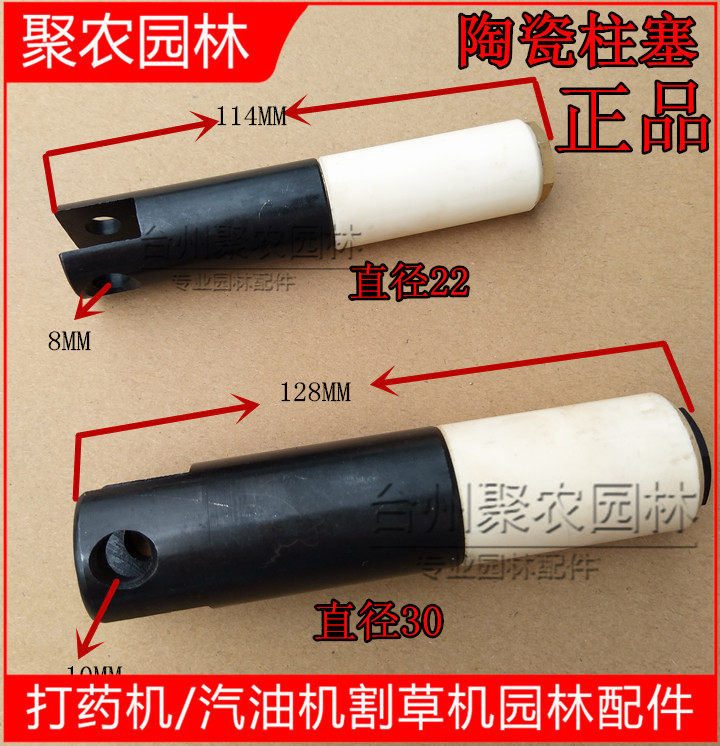 Ceramic Pump Plunger Nebulizer Free Cream Pump Long Shaft 22 Pump 30 Pump Three-cylinder Plunger Pump Accessories 