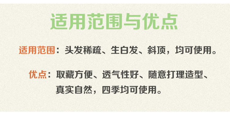 Extension mèches - Ref 225965 Image 20