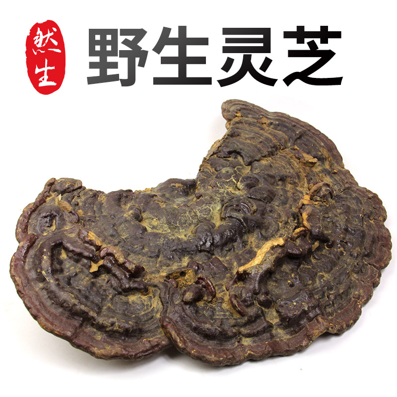 Ransheng Ganoderma lucidum Yunnan handleless Ganoderma lucidum red Ganoderma lucidum spore powder robe Linzhi too old can cut Ganoderma lucidum slices 250g