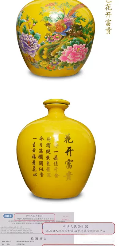 10 kg Jingdezhen lọ gốm sứ lọ rượu bịt kín miệng nhỏ rượu vang jar rượu vang chai - Rượu vang