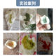 Steamed buns acid-base test agent old noodle steamed buns alkalinity reagent scone bun shop ຕົວແທນທົດສອບທາດດ່າງພິເສດ 100ML