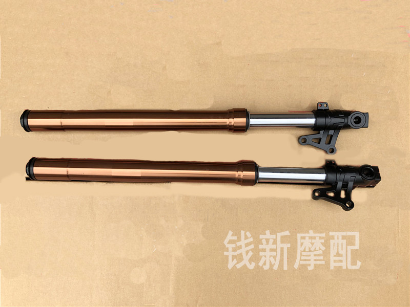 Suitable for blue Baolong QJ150-17A 19C 19C Qian Jianglong Former Shock Absorber Front Fork