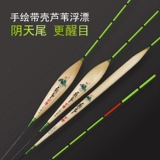 华鹭 LW Lotus Leaf Time Time