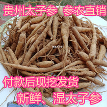7-year-old store in Shibing Guizhou direct sales of 1 catties of raw wet fresh ginseng childrens ginseng soup for strengthening the spleen