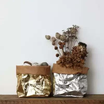 Nordic INS imported washable and tear-free kraft paper bag storage bag flower pot flower device Home window props