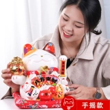 Джи Маттанг пожимает руки и набирает кошек и кошек.