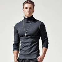 T1810 темно-серый [толстый стиль - без бархата]