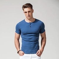 Синий (короткий) T1781