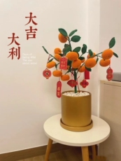 diy编织材料包 手工编织柿子盆栽diy材料包钩针毛线自制春节装饰品新年乔迁摆件