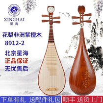 Beginners of Beijing Xinghai Rosewood Pipa are professional in playing mahogany a special musical instrument for adults and children to pass the exam