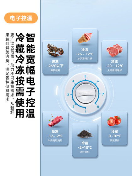 新飞218L冰柜一级能效家用商用两用冷藏冷冻双温卧式小型节能冷柜