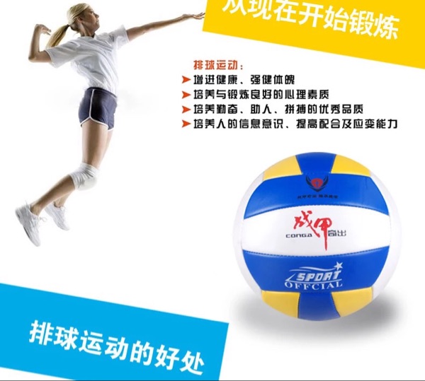 Ballon de volley - Ref 2013606 Image 5