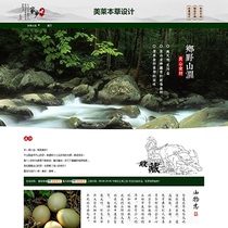 A489 Taobao shop decoration template food local products Mountain dry goods vegetable honey agricultural products hometown medicinal materials