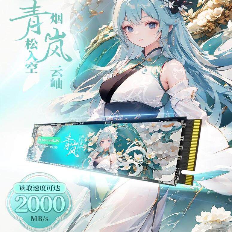 MAXSUN/Mingyun M2 NVME 512g/1 ТБ Qinglan - двумерный высокоскоростной твердотельный накопитель SSD PCIE3.0