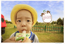 Australian RaffertysGarden baby 4 to June supplemented with fruit puree mud Mud Multiple Flavors