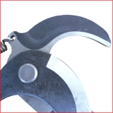 Высокие ветви, резка высоких поэта