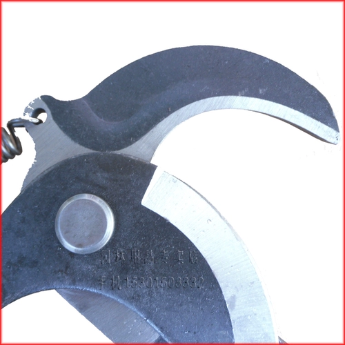 Высокие ветви, резка высоких поэта