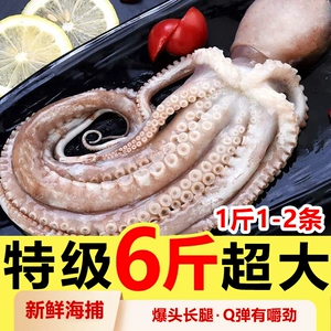 Супер длинноногий осьминог Fresh Live Octopus Frozen Meafood Water производит свежий целый интернет-знаменитость, выстрел в голову, коммерческое использование