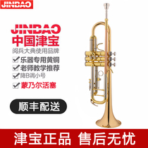 Jinbao trumpet instrument B flat JBTR-410 beginner grade examination school primary school childrens wind band brass