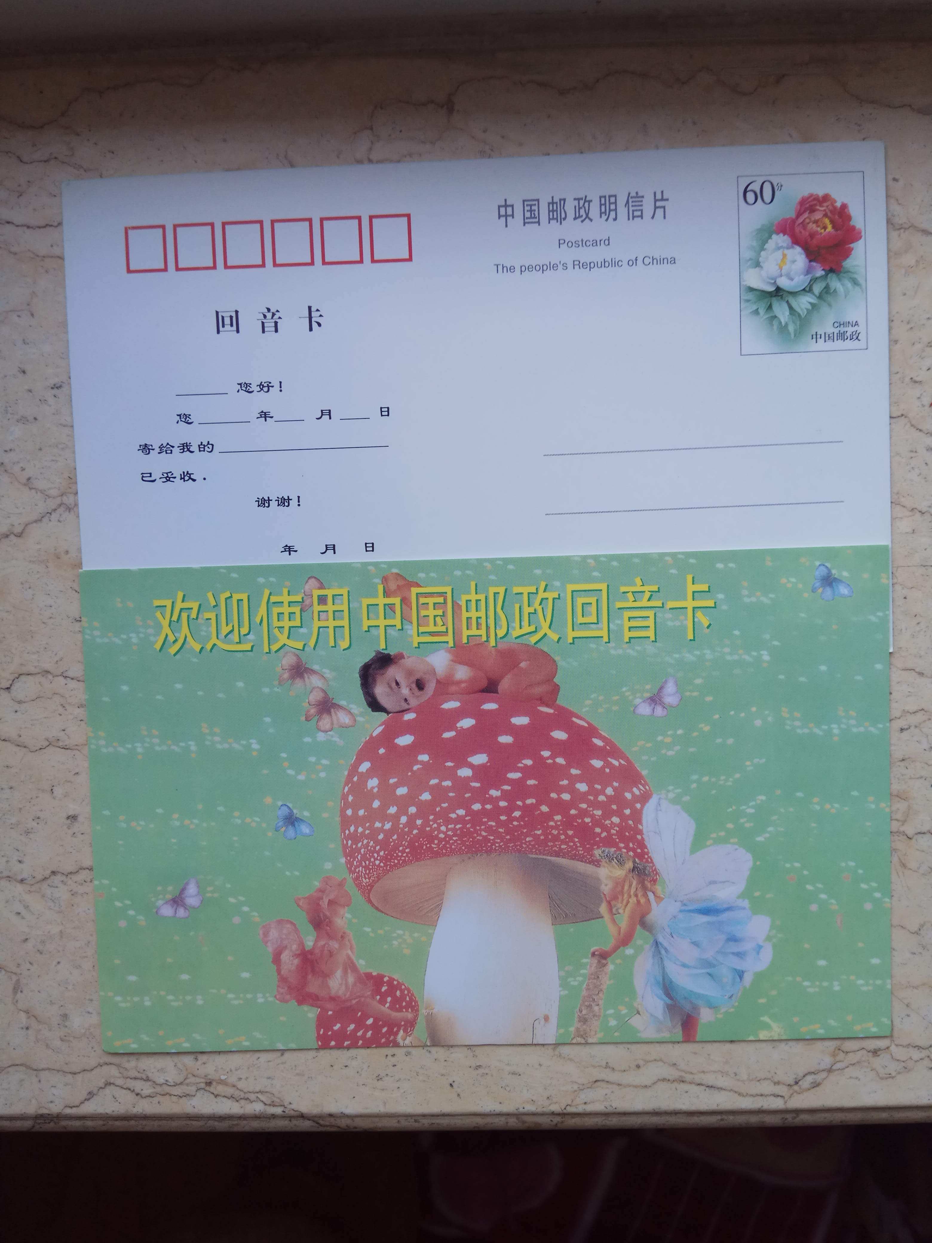 PP 13 Peony Flower Ordinary postage film 60 points China Postal Echo card for children sleeping big mushrooms