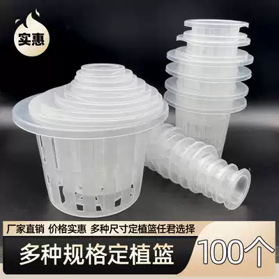 Hydroponic Planting Basket Green Horticultural Soilless Cultivated Vegetables Small Basket 100 Fixes