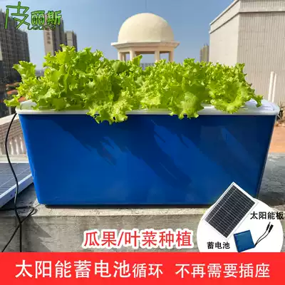 Fruit and vegetable soilless cultivation equipment Tomato cucumber hydroponic blue water tank automatic circulating hydroponic planting Basin