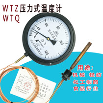 Hongqi new WTZ280 pressure thermometer oil-water liquid steam boiler pointer industrial table