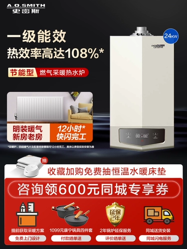 [Магазин продается] Ao Smith Gas Wall -Hung Cower Natural Gas Condensate Coiler E10 24 кВт