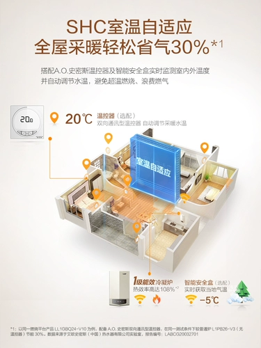[Магазин продается] Ao Smith Gas Wall -Hung Cower Natural Gas Condensate Coiler E10 24 кВт