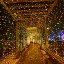 LED lights flashing lights string lights low pressure starry waterfall lights festive lighting decoration outdoor wedding Christmas lights belt