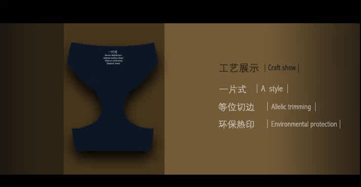 Slip jeunesse en soie Ice - Ref 640711 Image 17