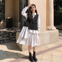 Pregnant women spring dress two pieces of suit spring and autumn fashion stylish little high-sense outer dress