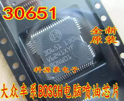 30651 Foss Langyi Maiteng car engine motherboard fuel injection drive module IC chip