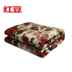 đậu đỏ ba kép kiểm soát chăn điện chăn 1m 8 * 2 Mega chăn dày tăng dự kiến ​​6053 thiết bị thứ ba nhiệt - Chăn điện chăn điện hàn quốc hanil Chăn điện