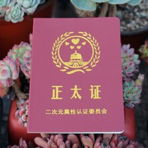 Zhengtai certificate funny certificate certificate personality creative tricky gift printing customization