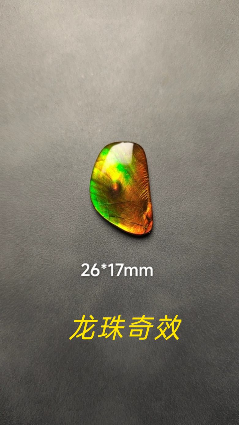 アンモナイトファクトリー カナダ産アンモナイト ドラゴンパールペンダント、ホーム＆オフィス風水装飾品 26*17mm