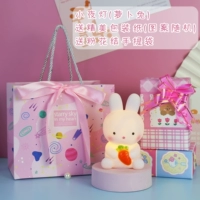 Маленький ночной кролик с фонарями (упаковка+розово-цветочная сумка с толчком)