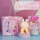 Маленький ночной кролик с фонарями (упаковка+розово-цветочная сумка с толчком)
