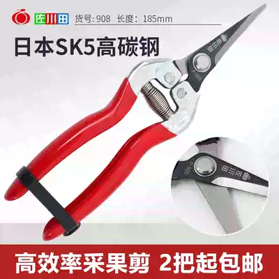 Fruit branch shears, flower branches, grapes, fruit scissors, citrus, pitaya, fruit picking scissors