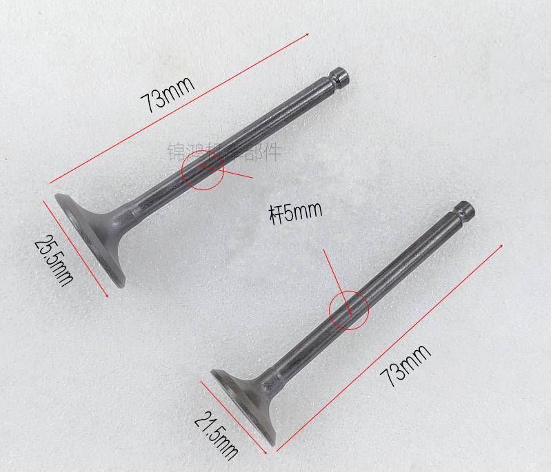 Locomotive accessories Princess 100T-H-F-G little princess Youyue joy SCR100 valve guide intake and exhaust valve