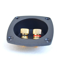 2-bit speaker junction box pure copper gold plated sound post sound wiring terminal accessories Banana Socket