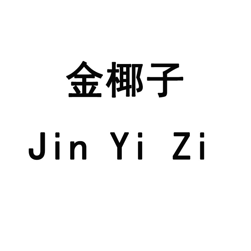 金椰子女装店铺