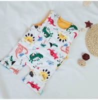 № 2 Dinosaur Summer.