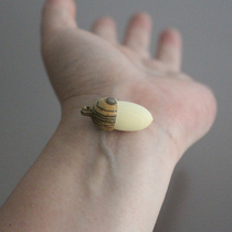 The smallest solid wood acorn pendant acorn can be unscrewed keychain sweater chain portable aromatherapy essential oil bottle diffuser wood