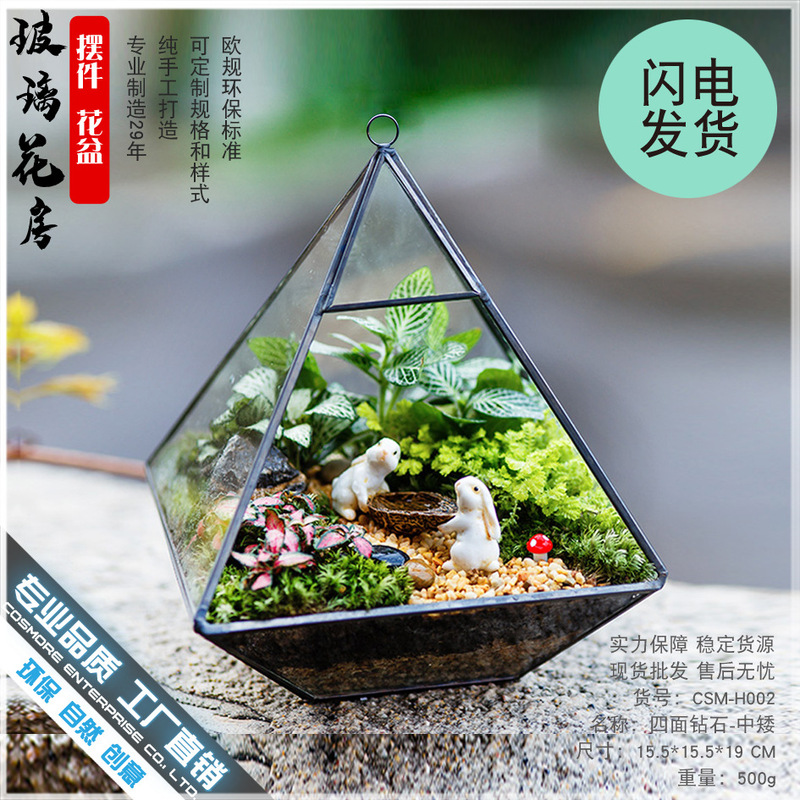 Preserved Flower Glass Dome Gift Box Home Decor Glass Flower House Moss Micro Landscape Ecological Tank Transparent Flower Pot