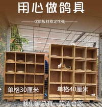 鸽具赛鸽 信鸽 巢箱 养殖配对笼 鸽舍用品 笼子配对养殖鸽子笼