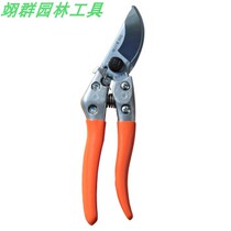 Zokugawa ji Taiwan Imports 860 prunes of branches Cut fruit trees Cut flowers Cut garden Gardening Pruning With Branches