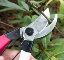 Sagawa Ki all-steel pruning shears horticultural scissors garden picking fruit shears pruning branches coarse branches 168 rough shears