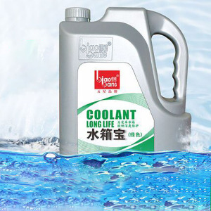 【标榜】四季通用汽车防高温水箱宝2kg